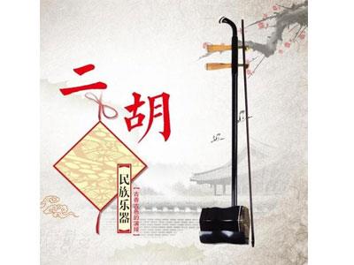 招聘成都二胡家教老师